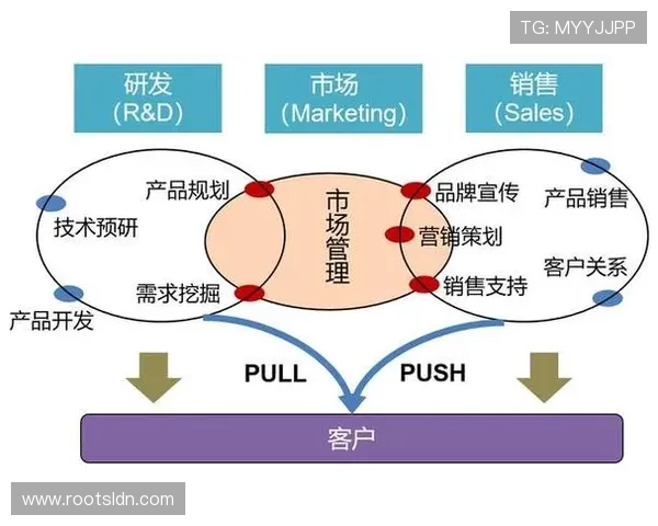 SK2国际娱乐的市场营销策略与品牌推广案例分享，学习成功经验