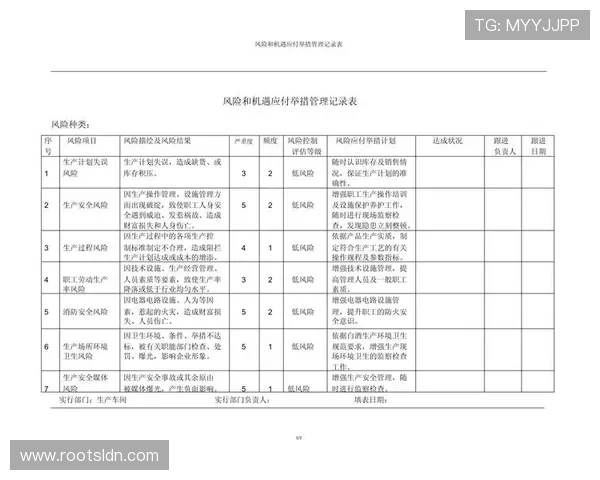 G3国际在全球化背景下的风险管理与应对措施