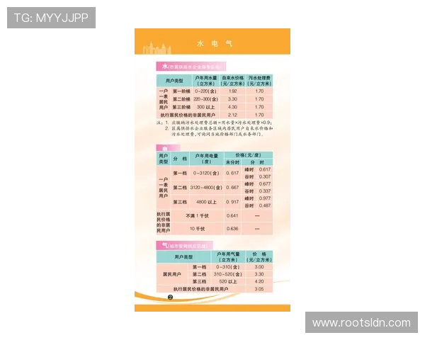 全面解析百家乐规则与玩法技巧新手也能轻松上手的实用指南