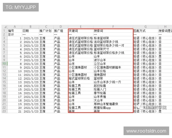 百家乐百科全书:从入门到精通的详细游戏规则与实战技巧指南 百家乐百科全书:从入门到精通的详细游戏规则与实战技巧指南