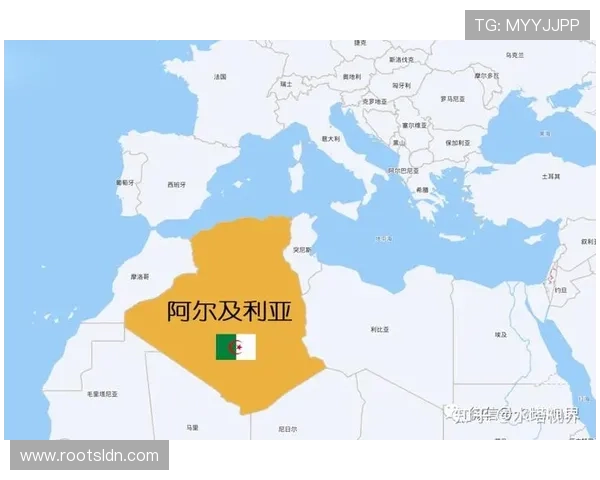 2026年世界杯阿尔及利亚对奥地利比赛场地设施情况全面解析